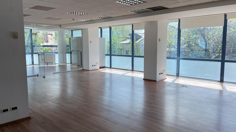 Victoriei, Buzesti, Gara de Nord,